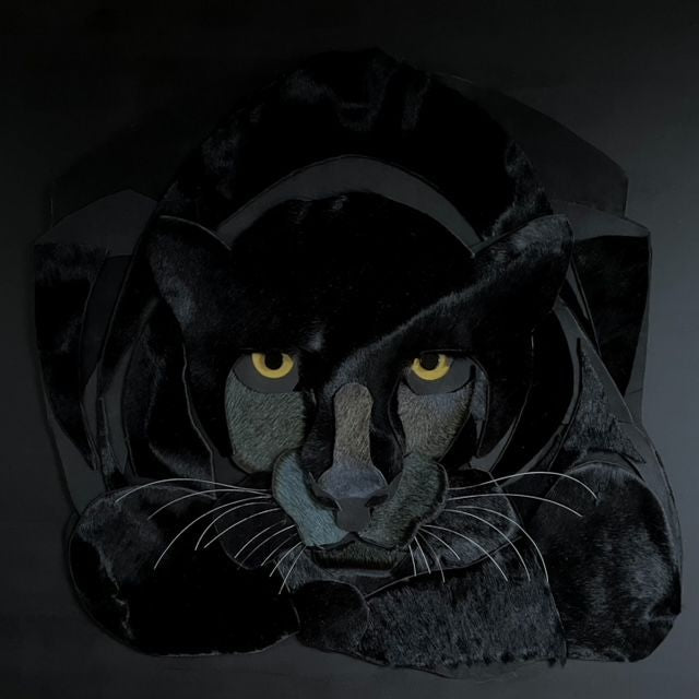 Sitting Panther
