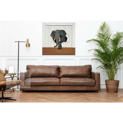 Elephant Coming Through